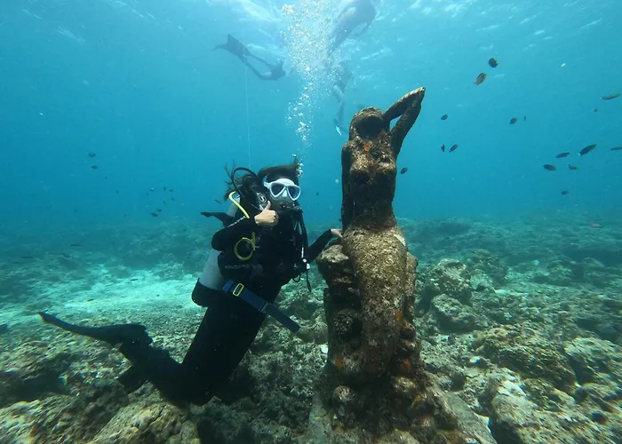 Bed & Breakfast Lion Dive
